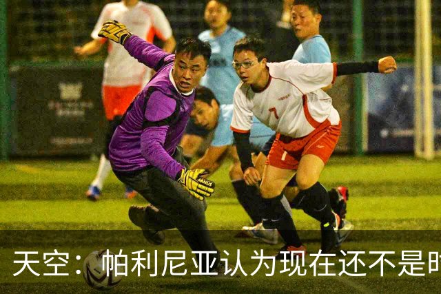 天空：帕利尼亚认为现在还不是时候回葡体，他更倾向于留在英超