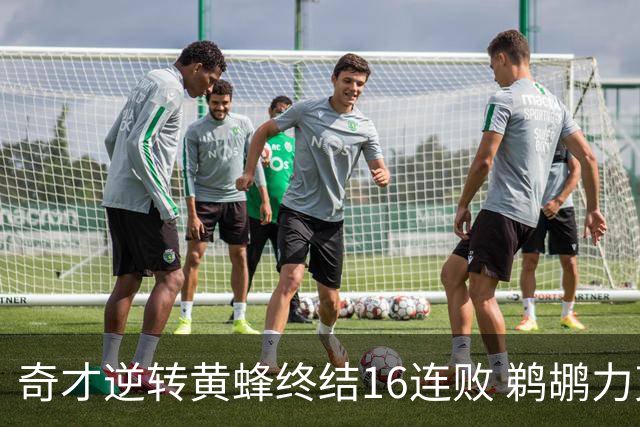 奇才逆转黄蜂终结16连败 鹈鹕力克76人3连胜